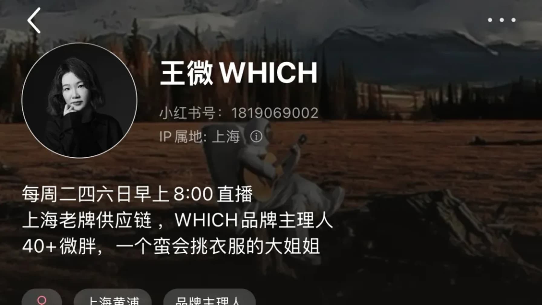 王微 WHICH 的小红书主页定位截图
